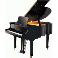 Beale GP148 Baby Grand Piano - Ebony